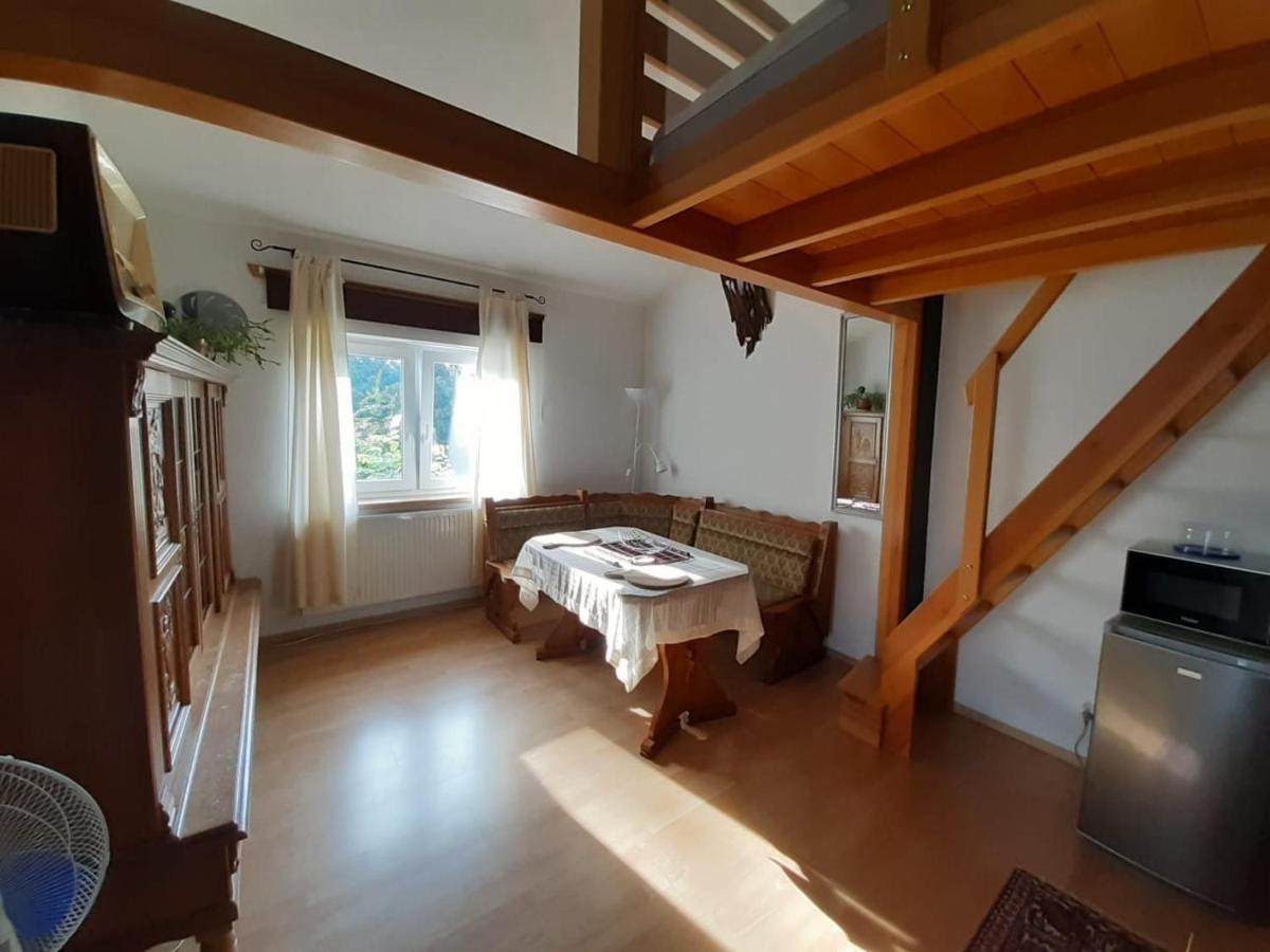 Apart - House Sandomir Extérieur photo